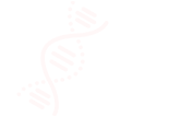 基因合成、编辑与酶优化