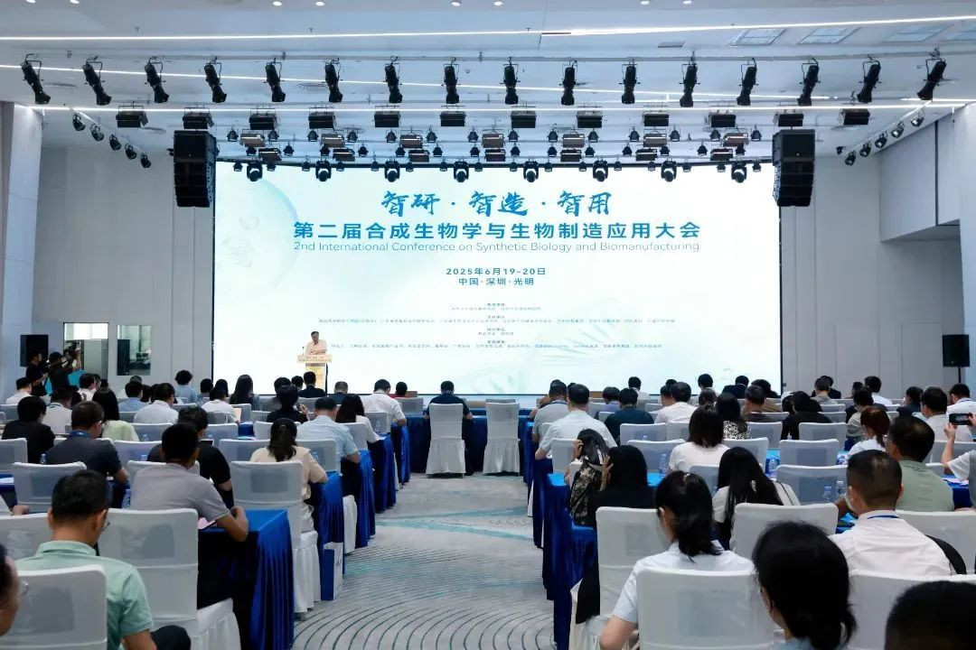 微信图片_20250624155623