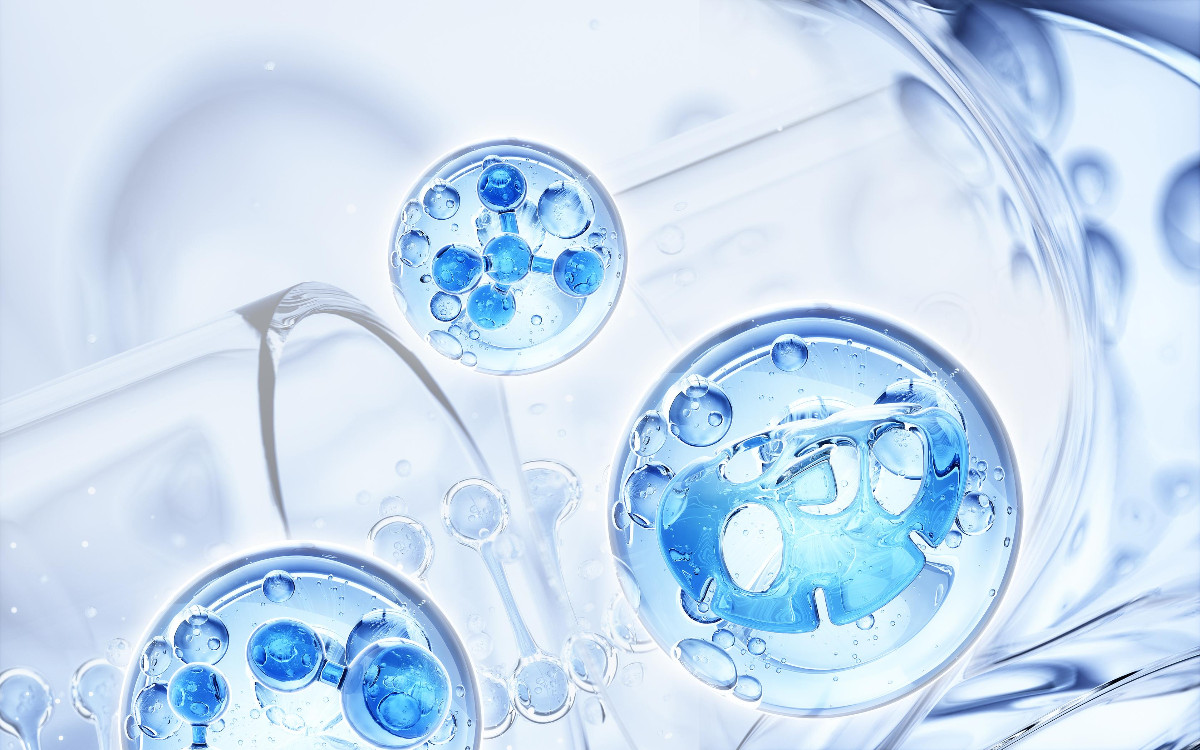 c4433e471d90e67ed29192e21ebf75fe43d933b63732bc-BjAgtp(1)