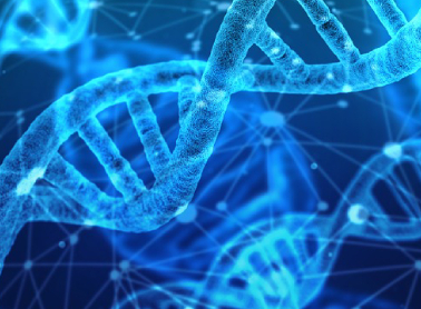 元一生物完成近亿元 A 轮融资，加速合成生物学新产品研发生产
