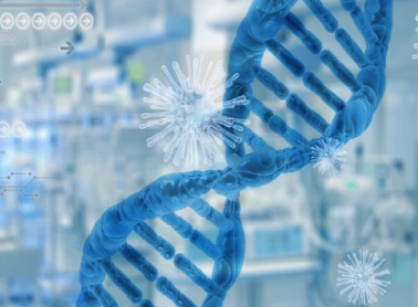 元一生物携手金达威，释放4000吨虾青素粉剂产能