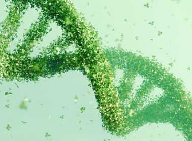 消费需求升级下的品质应答：元一生物以认证锚定科技精度